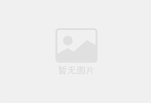 维西混凝土拆除公司的电话号码是多少？
